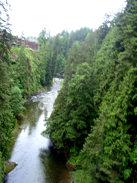 Looking down from the Capilano Suspension Bridge